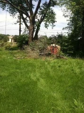 Custom garden landscaping in Kansas City, MO - Kings property maintenance