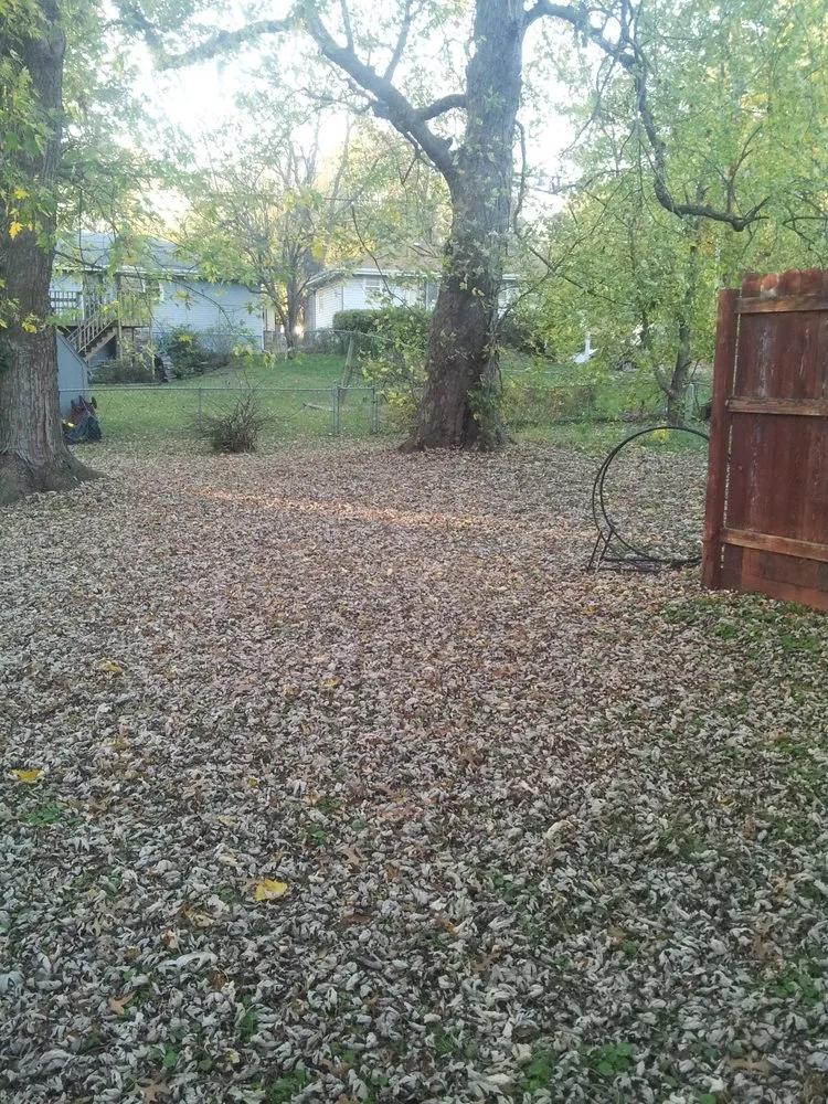 Trusted landscape design for beautiful yards across Kansas City, MO - Kings property maintenance