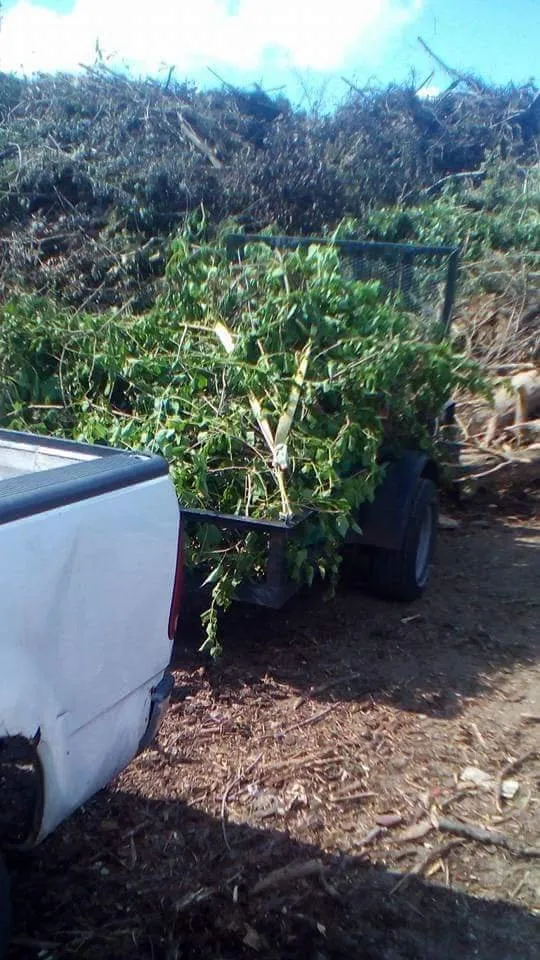 Top-rated lawn mowing service in Kansas City, MO - Kings property maintenance