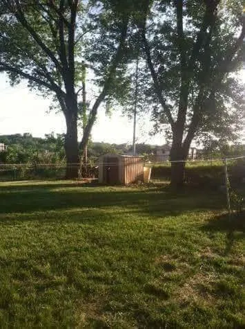 Expert yard cleanup service for beautiful yards in Kansas City, MO by Kings property maintenance