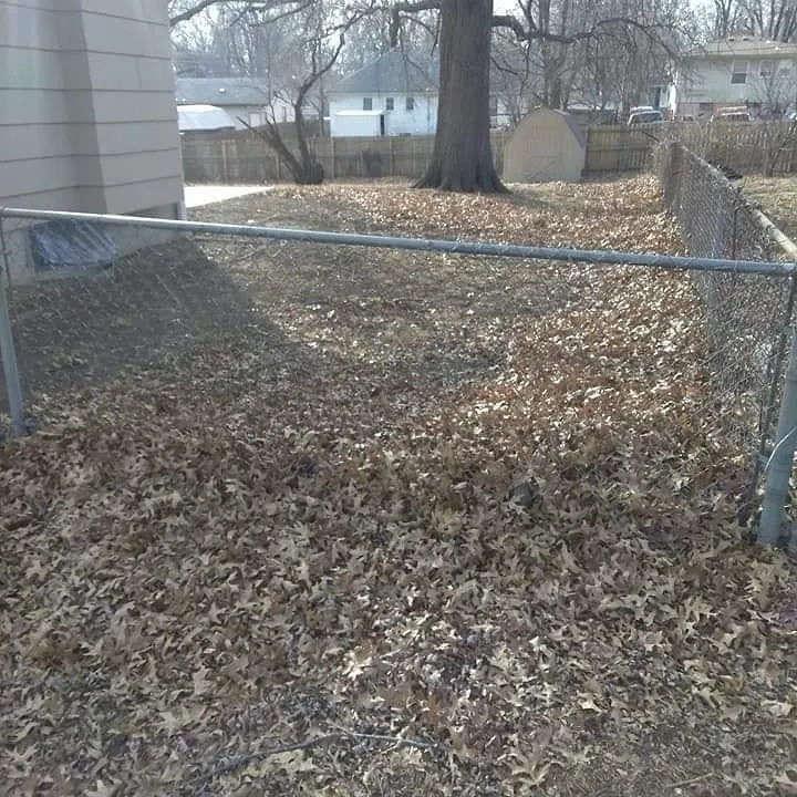 Expert lawn mowing service experts serving Kansas City, MO - Kings property maintenance