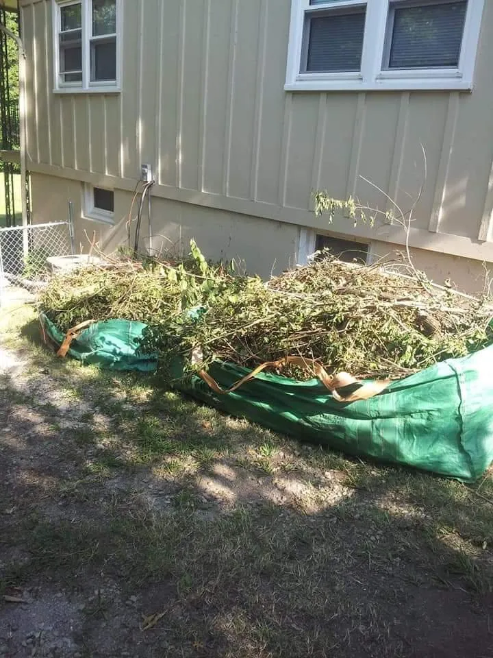 Reliable residential landscaping in Kansas City, MO - Kings property maintenance