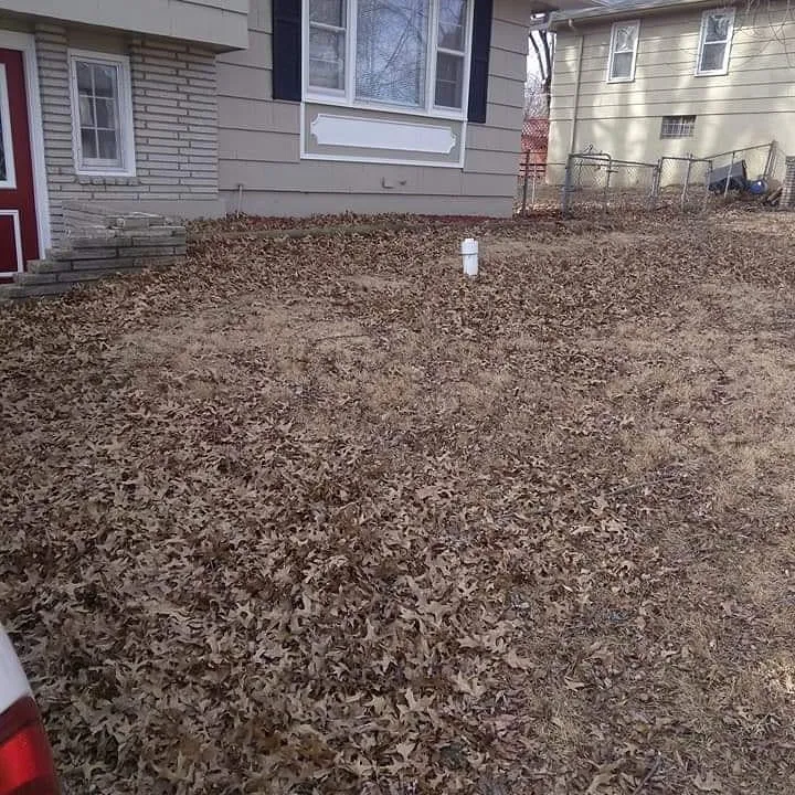 Affordable landscape design for year-round maintenance across Kansas City, MO - Kings property maintenance