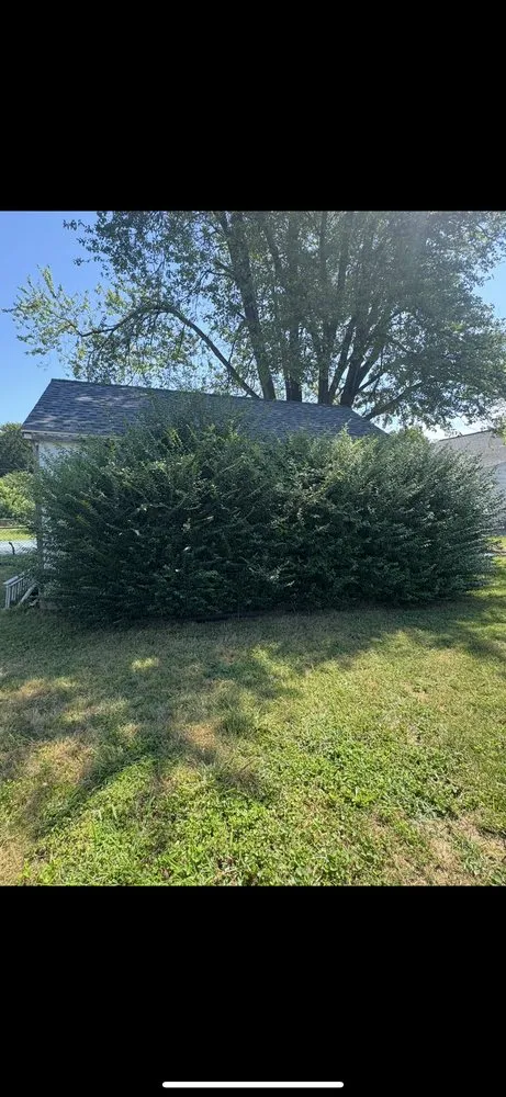 Top-rated garden landscaping for year-round maintenance across Stafford, VA - Kings Property Services