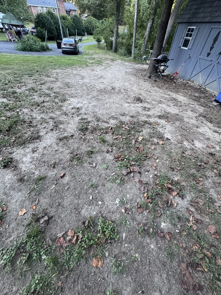 Trusted yard maintenance in Stafford, VA by Kings Property Services