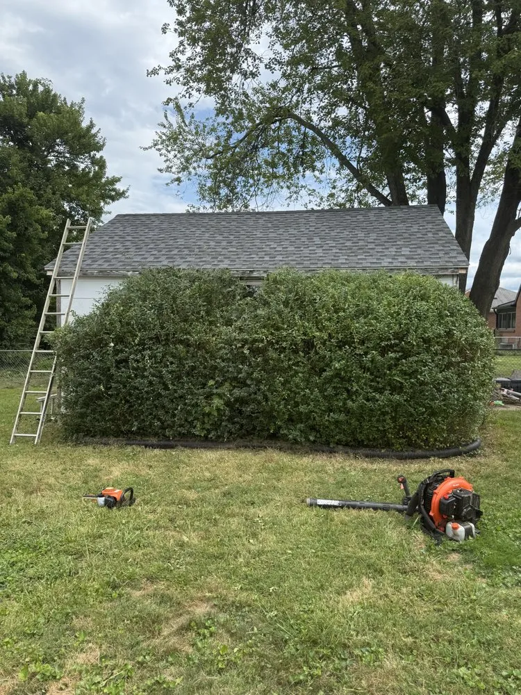 Expert residential landscaping in Stafford, VA - Kings Property Services