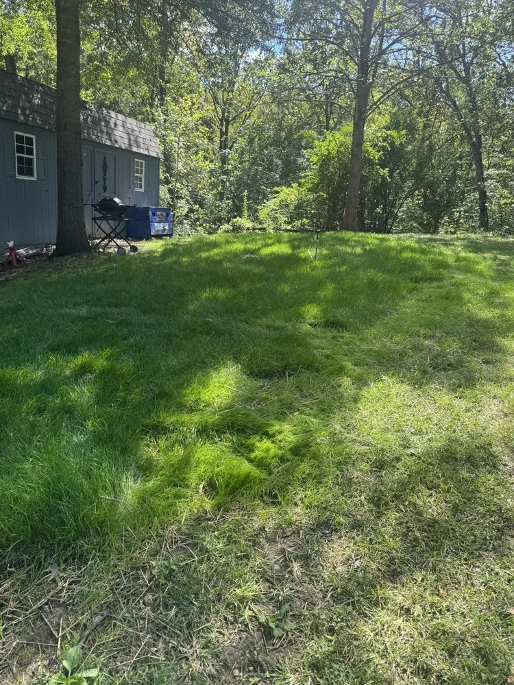 Local lawn care service in Stafford, VA by Kings Property Services