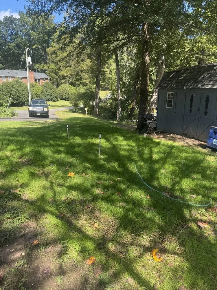 Local landscape design for beautiful yards across Stafford, VA - Kings Property Services