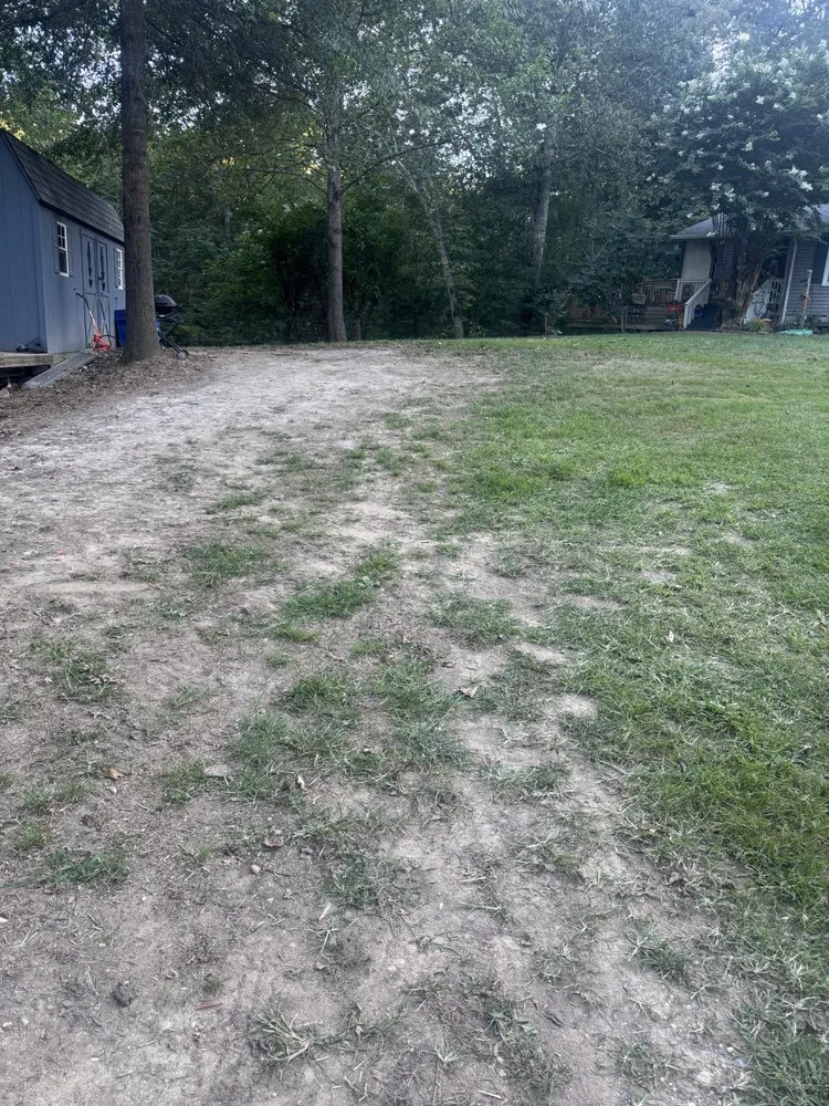 Expert lawn mowing service in Stafford, VA by Kings Property Services