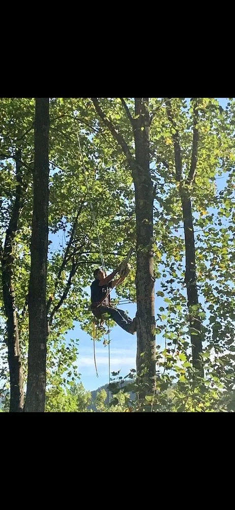 Local outdoor landscaping in Culpeper, VA by King's Tree and Outdoor Service