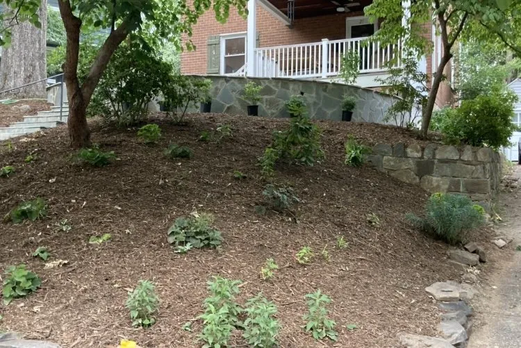 Top-rated yard maintenance with custom design in Culpeper, VA by King's Tree and Outdoor Service