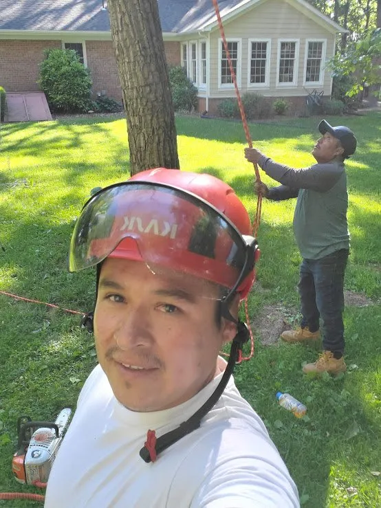 Reliable lawn mowing service experts serving Culpeper, VA - King's Tree and Outdoor Service