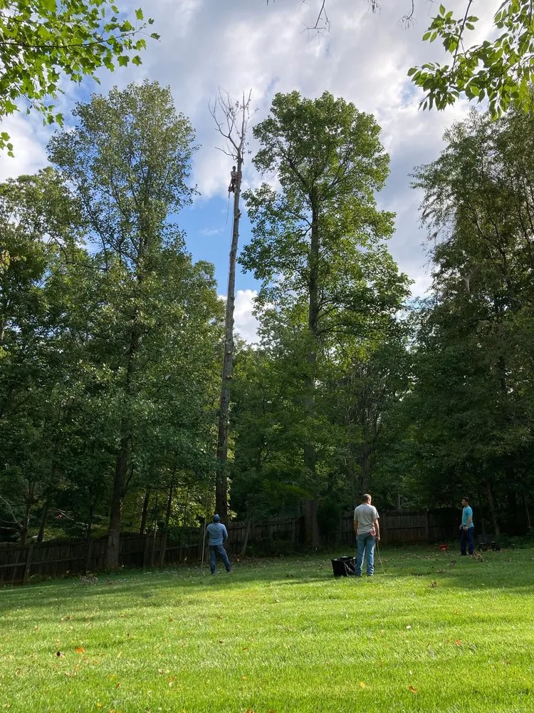 Local yard cleanup service for homes across Culpeper, VA - King's Tree and Outdoor Service