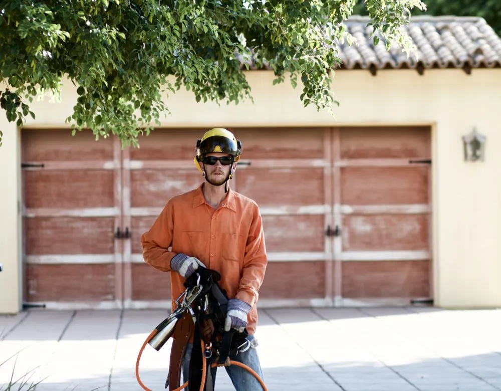 Expert landscape installation with custom design across Mesa, AZ - King's Tree Service