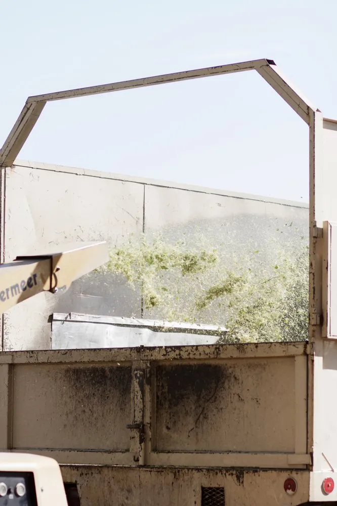 Professional outdoor landscaping with custom design in Mesa, AZ by King's Tree Service