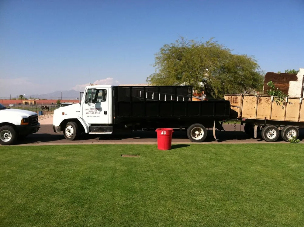 Local landscaping services experts serving Mesa, AZ - King's Tree Service