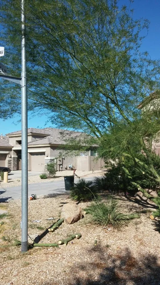 Affordable landscape installation for outdoor upgrades in Mesa, AZ by King's Tree Service
