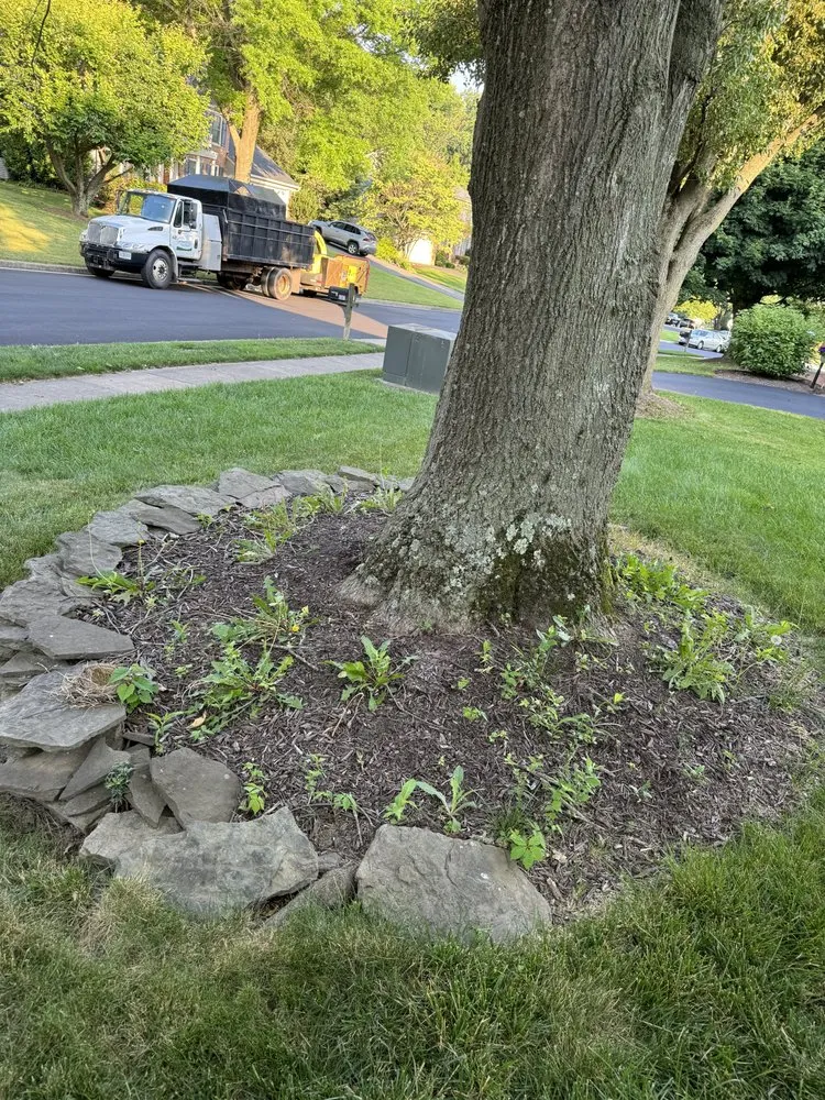 Trusted residential landscaping experts serving Manassas Park, VA - Kings Tree Services