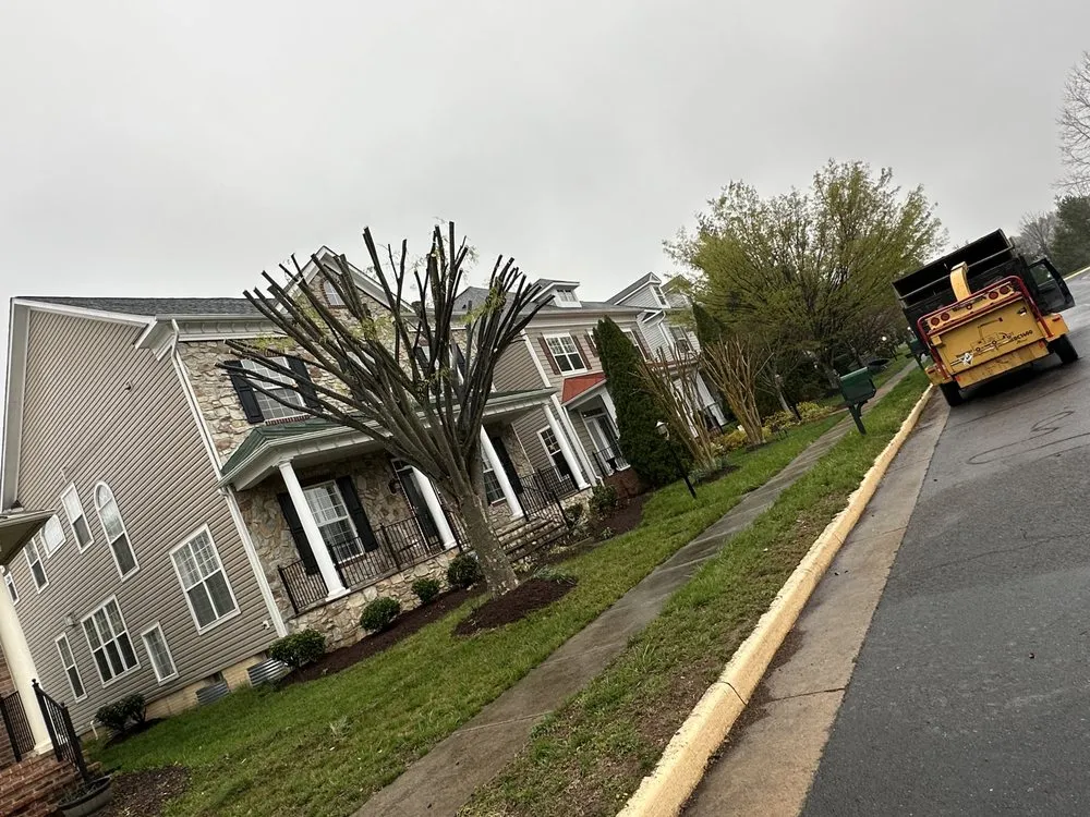 Local lawn care service near you across Manassas Park, VA - Kings Tree Services