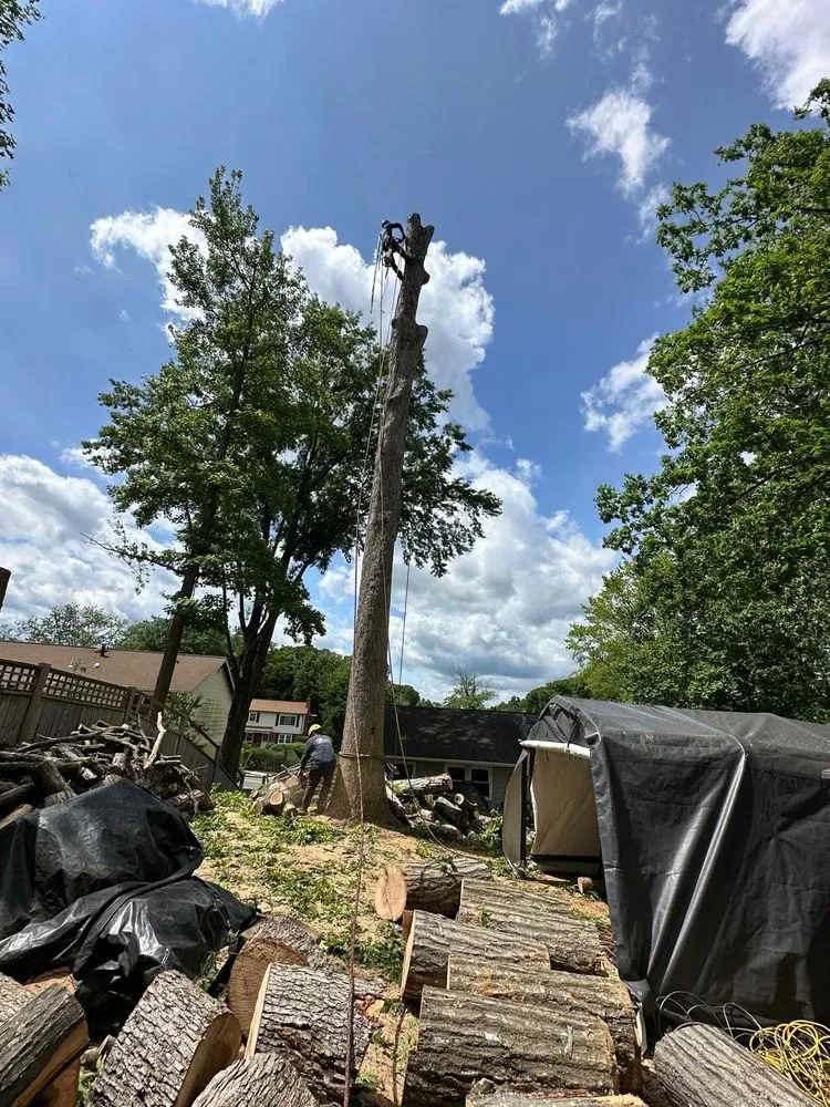 Affordable residential landscaping for homes in Manassas Park, VA by Kings Tree Services