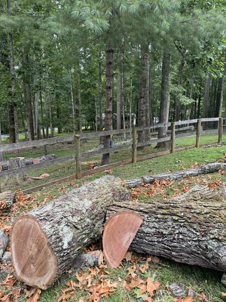 Affordable lawn mowing service for year-round maintenance in Manassas Park, VA by Kings Tree Services