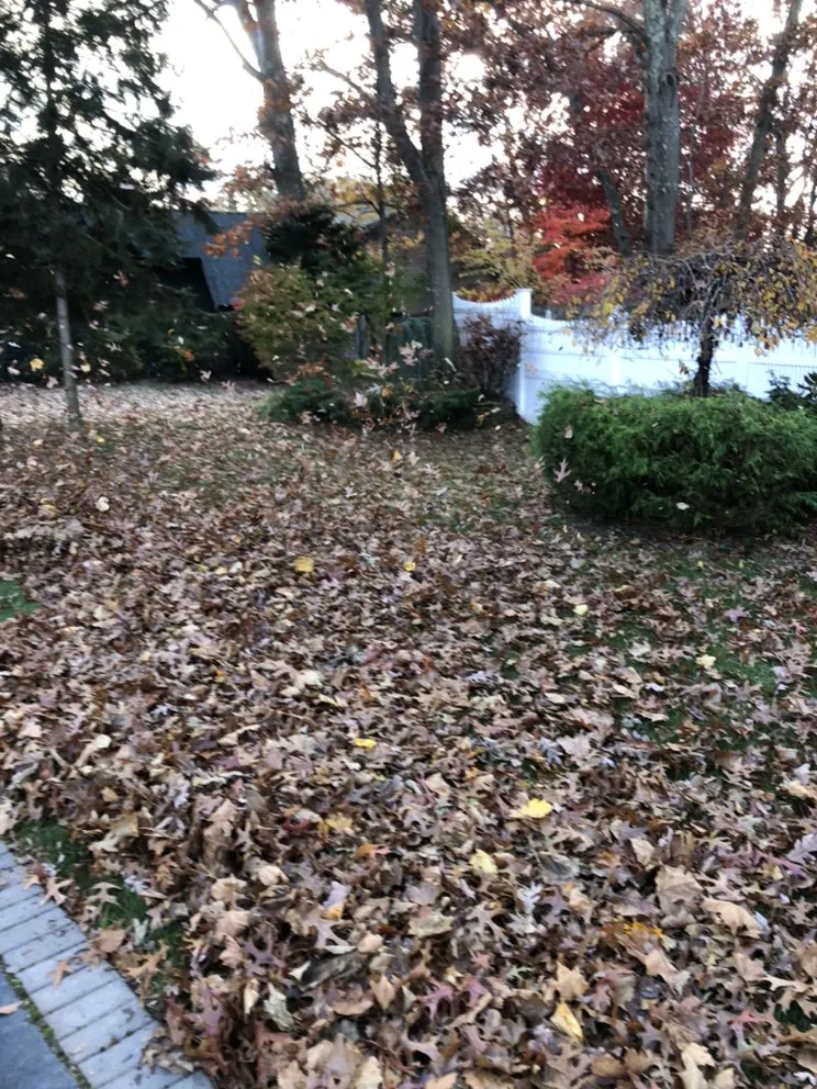 Expert yard cleanup service for beautiful yards across Central Islip, NY - Kings Well Kept Lawn Care