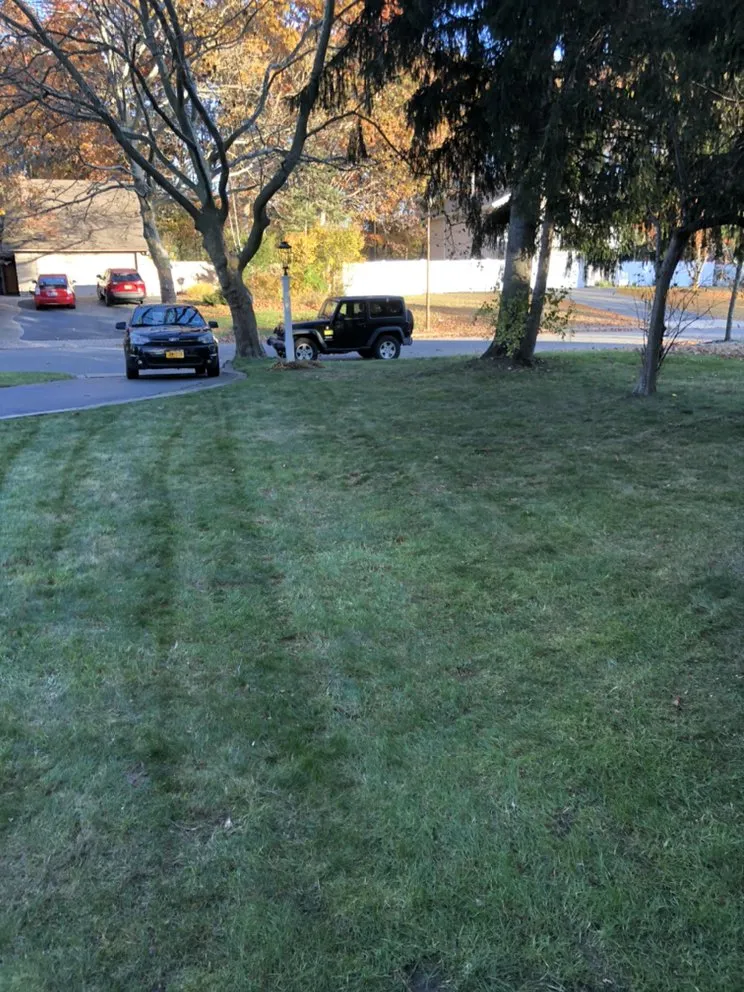 Reliable landscape design experts serving Central Islip, NY - Kings Well Kept Lawn Care