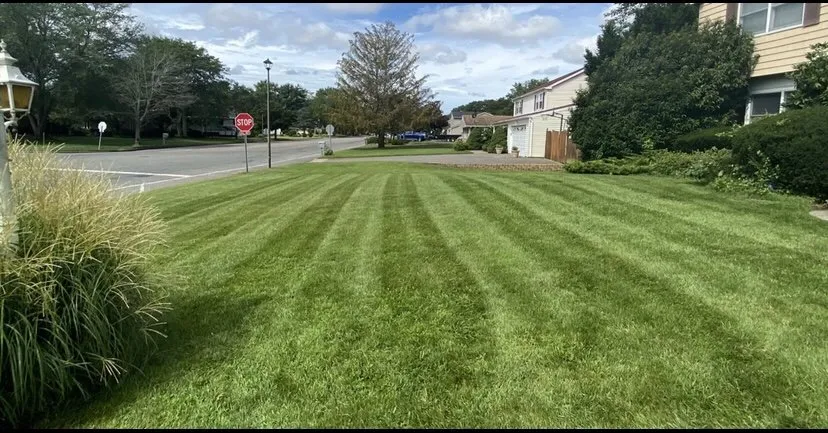 Local yard cleanup service with custom design in Central Islip, NY by Kings Well Kept Lawn Care