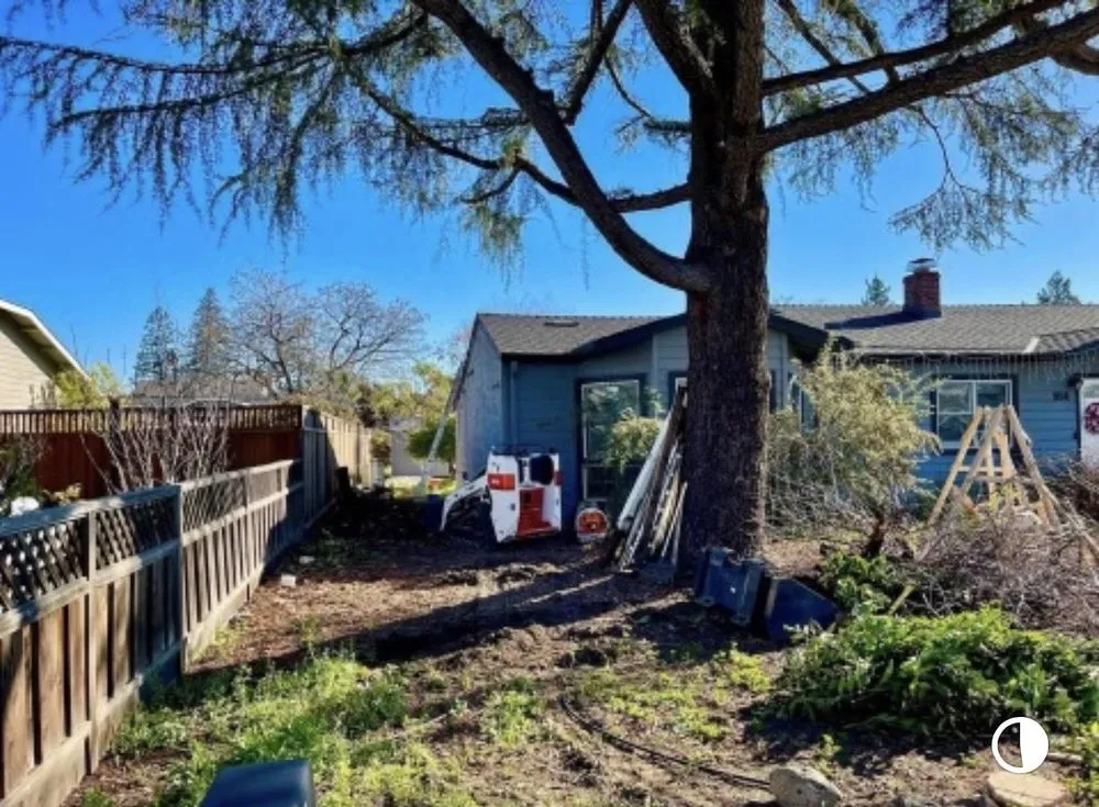 Affordable lawn care service in San Jose, CA - Kingscape Construction