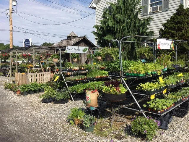 Top-rated outdoor landscaping in Monkton, MD by Kingsdene Nurseries