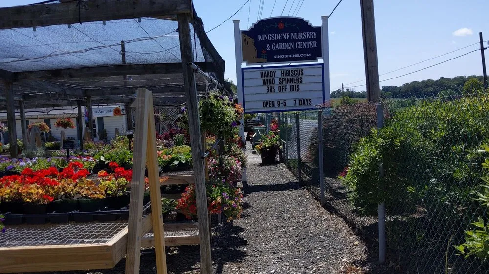 Affordable landscape installation for homes in Monkton, MD by Kingsdene Nurseries
