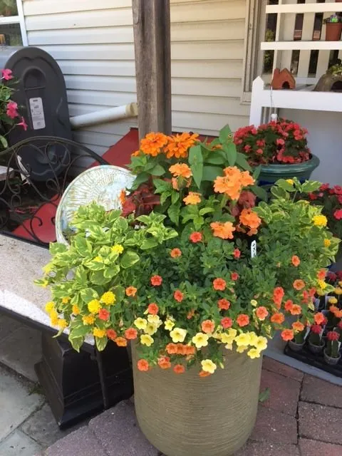 Expert lawn care service in Monkton, MD - Kingsdene Nurseries