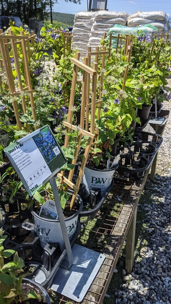 Local outdoor landscaping in Monkton, MD by Kingsdene Nurseries