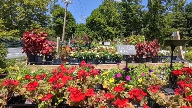 Custom residential landscaping in Monkton, MD by Kingsdene Nurseries