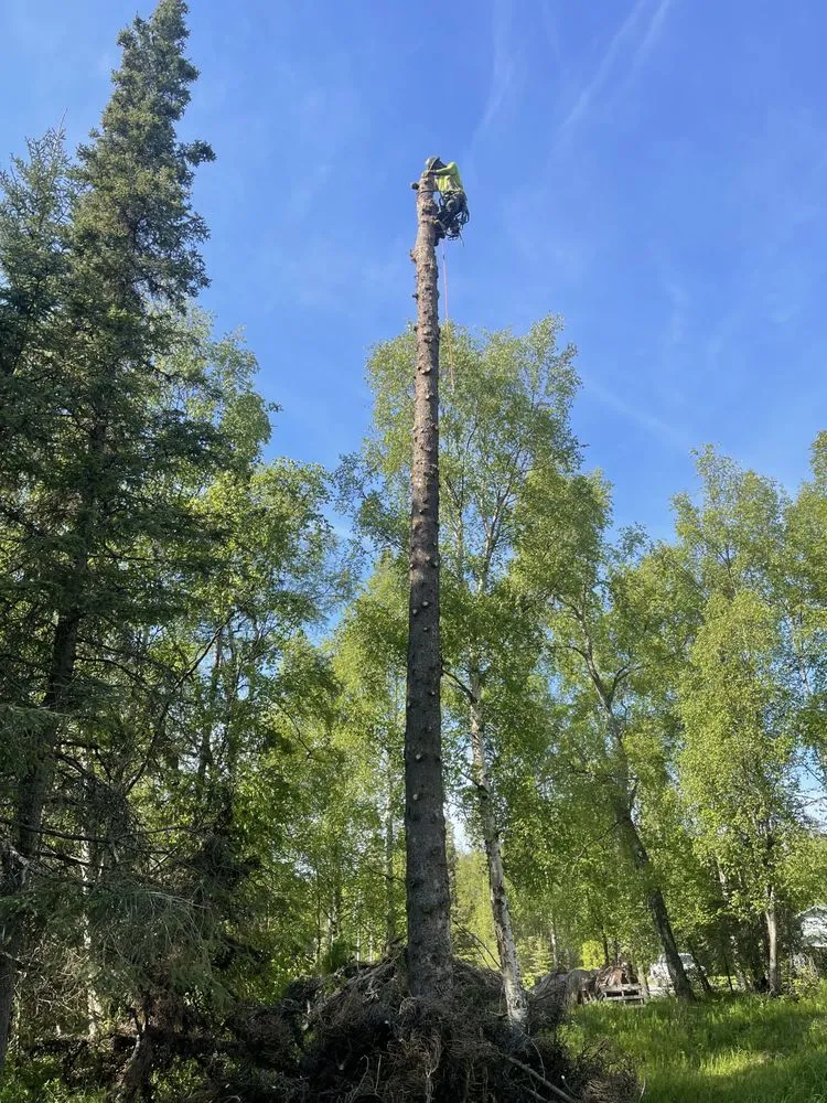 Top-rated garden landscaping experts serving Anchorage, AK - Kingsman Tree Service