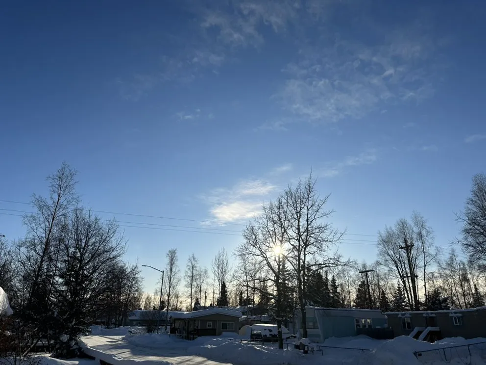 Affordable landscape installation experts serving Anchorage, AK - Kingsman Tree Service