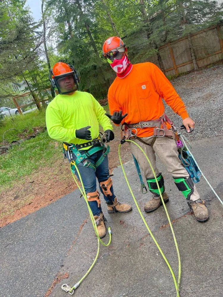 Expert yard maintenance experts serving Anchorage, AK - Kingsman Tree Service