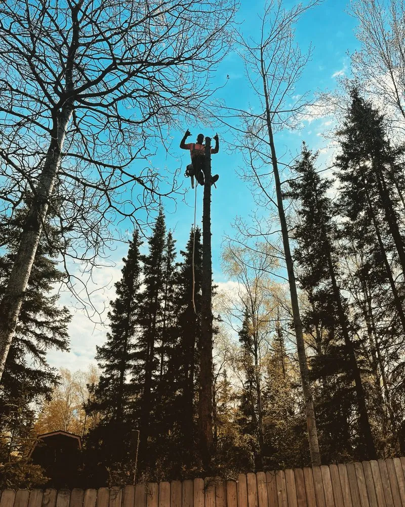Custom outdoor landscaping near you across Anchorage, AK - Kingsman Tree Service