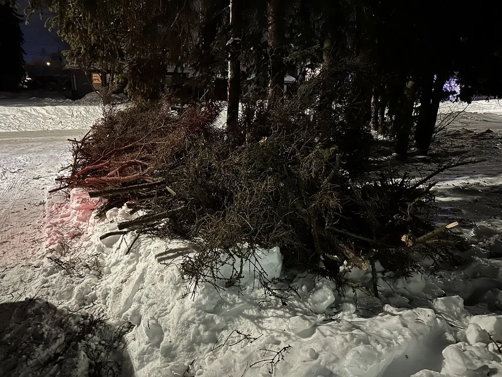 Top-rated landscape installation in Anchorage, AK - Kingsman Tree Service