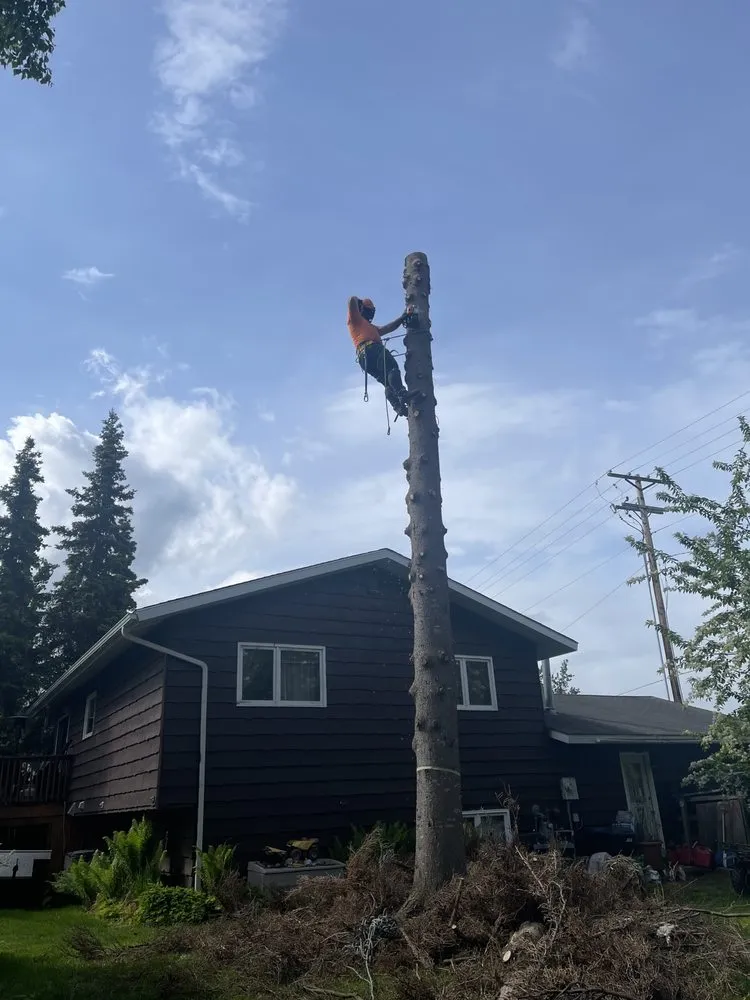 Custom lawn mowing service in Anchorage, AK by Kingsman Tree Service