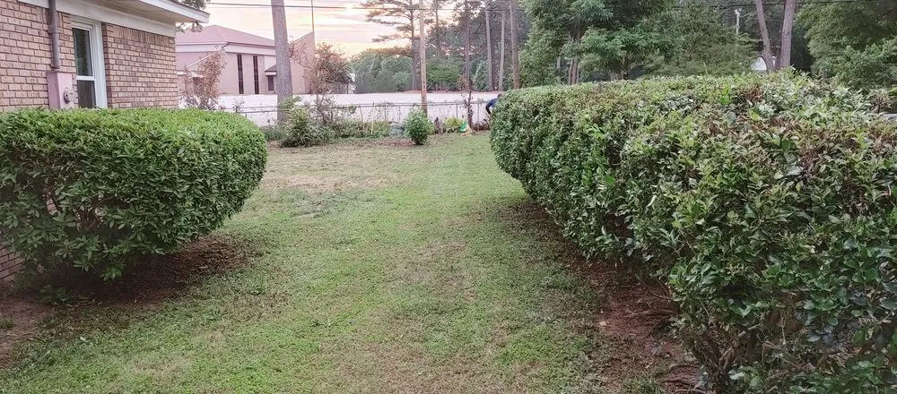 Professional yard maintenance experts serving Winnsboro, SC - Kingsmen Labor