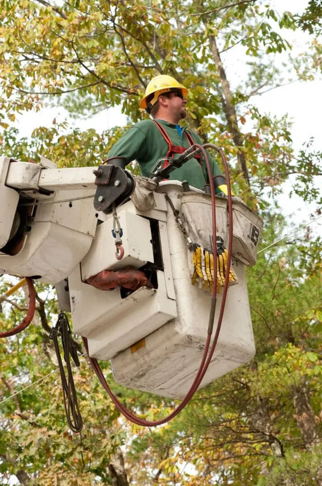 Reliable residential landscaping in Surgoinsville, TN by Kingsport Tree Service