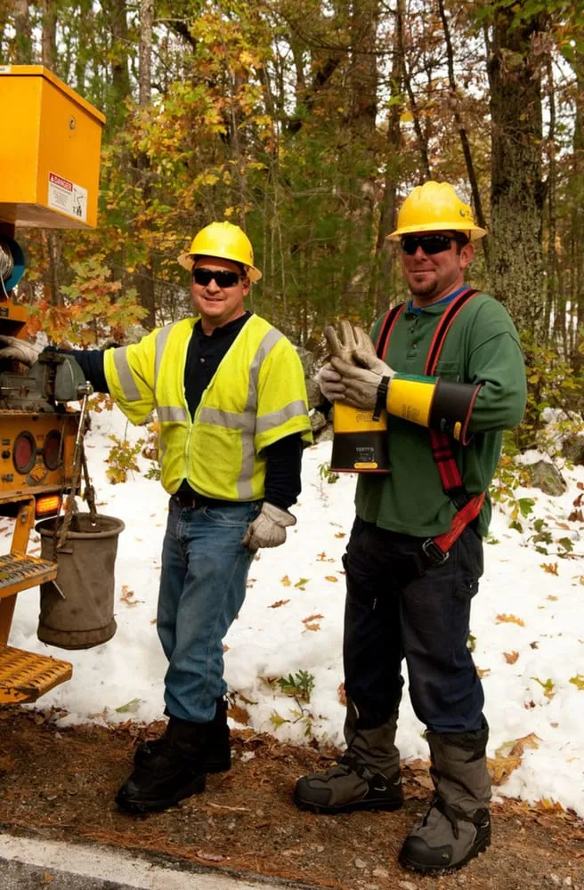 Trusted landscape design in Surgoinsville, TN by Kingsport Tree Service