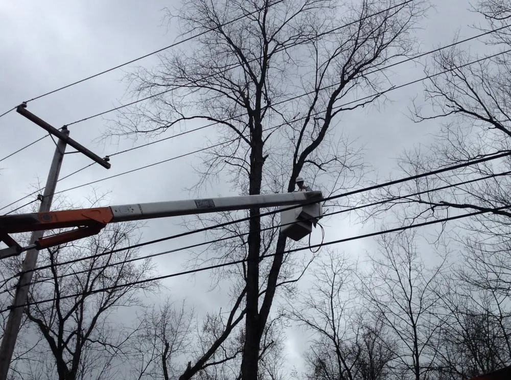 Affordable landscape design in Surgoinsville, TN - Kingsport Tree Service