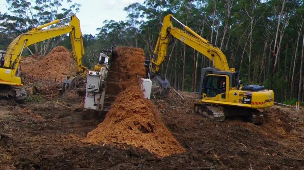 Local yard maintenance in Surgoinsville, TN by Kingsport Tree Service