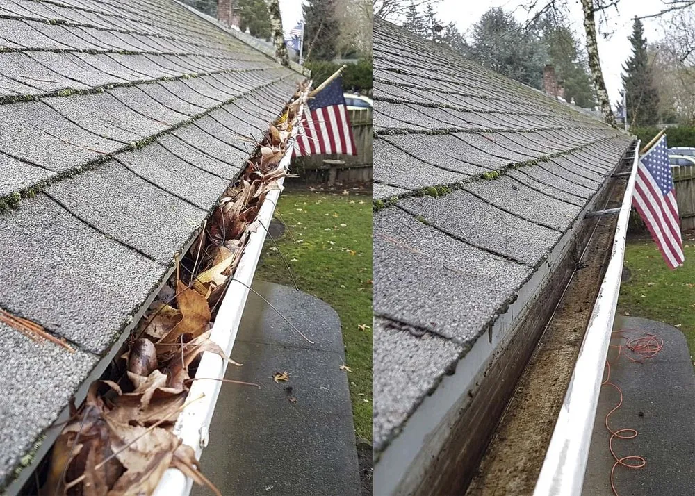 Reliable lawn care service experts serving Mason, OH - Kingston Home Services