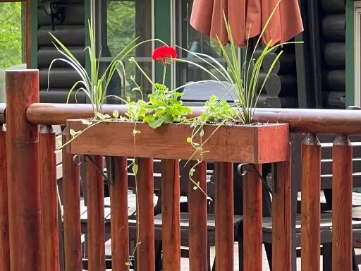 Local garden landscaping in Kingston, NY - Kingston Landscaping