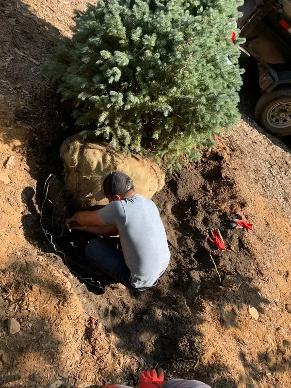 Reliable landscaping services experts serving Kingston, NY - Kingston Landscaping