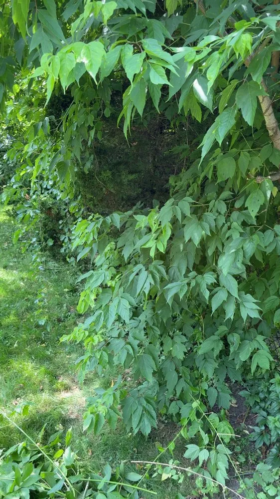 Top-rated landscape design with custom design in Warren, RI by Kingston Lawn Care