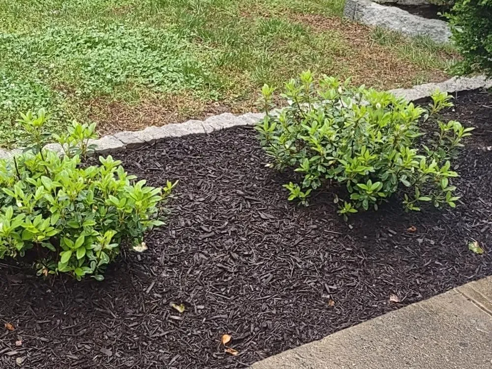Local garden landscaping in Alexandria, VA - Kingstowne Lawn & Landscape